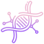 about-lotus-femcare-dna-icon