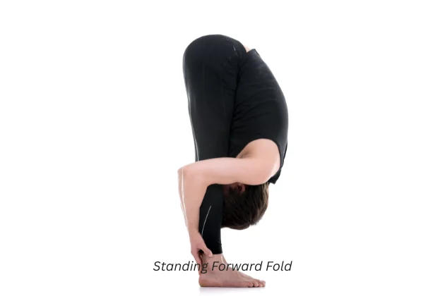 Standing Forward Fold